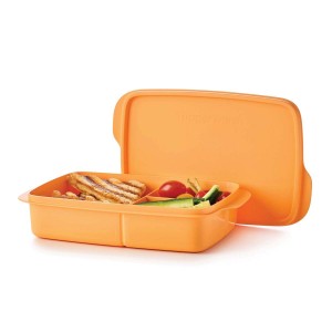 Tupperware Eco+ Lunch-it Large Container sOrange Taffy Lunch and Snacks | SGK-094758