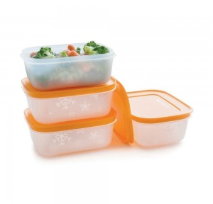 Tupperware Freezer Mates Plus Small Shallows Freezer Storage | XGK-548293