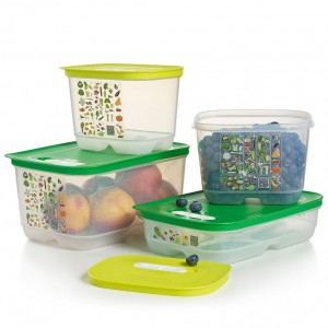 Tupperware Fridgesmart 4-pc. Starter Set Green / Deep Refrigerator Storage | GAE-024968