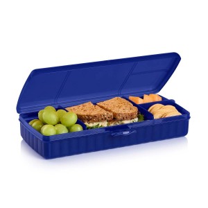 Tupperware Lunch 'N Things Container Blue Lunch and Snacks | IYT-274601