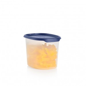 Tupperware One Touch Fresh Oval 4 1/2-cup/1.1 L Nocturnal Sea Refrigerator Storage | QJD-346709