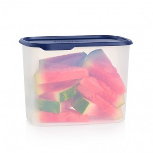 Tupperware One Touch Fresh Rectangular 18 1/2-cup/4.4 L Nocturnal Sea Refrigerator Storage | ROZ-956328