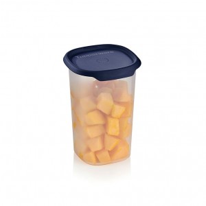 Tupperware One Touch Fresh Small Square 5 1/4-cup/1.25 L Nocturnal Sea Refrigerator Storage | XMD-490832