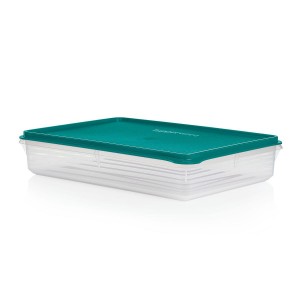Tupperware Snack-stor Large Container Green Refrigerator Storage | DHM-974836
