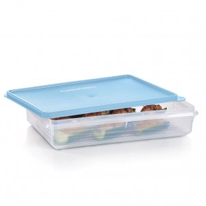 Tupperware Snack-stor Large Container Ice Cube Refrigerator Storage | AFL-461207